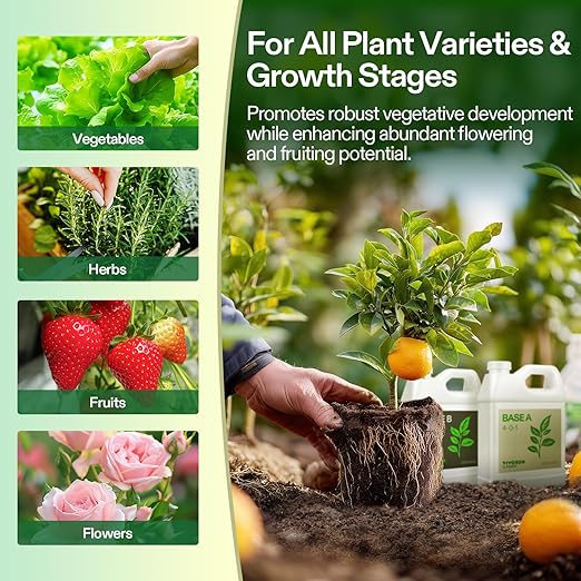 VIVOSUN Liquid Nutrients Base A & B Bundle, Grow Big Hydroponic Fertilizer, Supports Vegetative and Flowering Stages for Outdoor, Indoor Plants, Best Plant Food, Set of Quarts