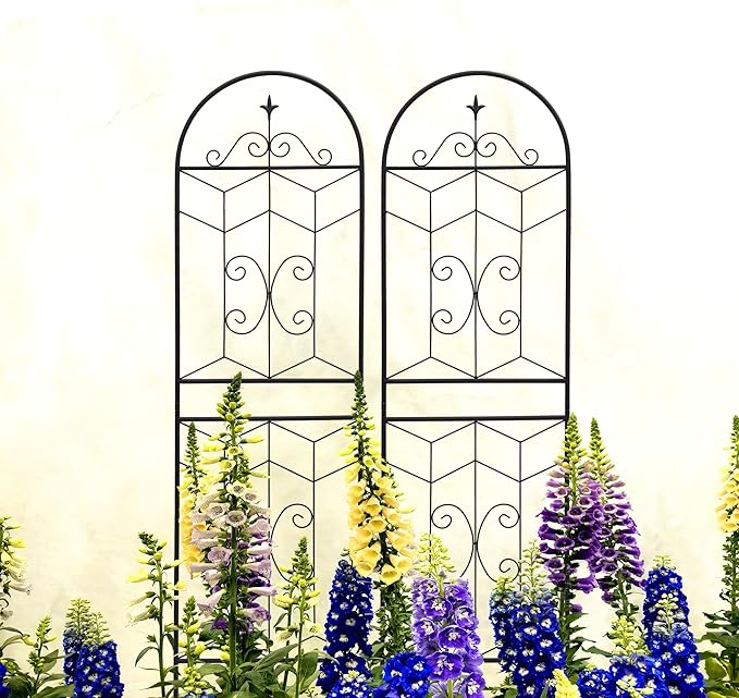 Metal Garden Trellis Rustproof Trellis for Climbing Plants Outdoor Flower Support (Black-2 Pack, 71"x19.7")