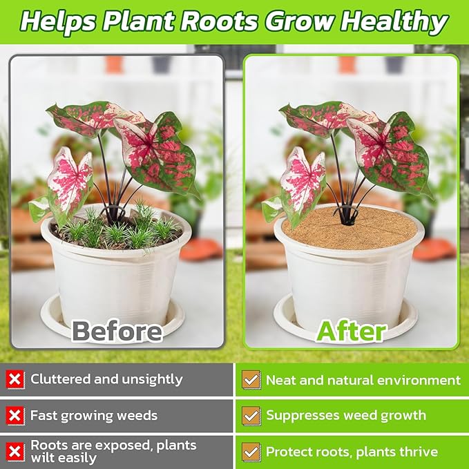 Legigo 10pcs Coconut Fiber Mulch Ring Tree Plant Protector Mat, 14 Inch Natural Coco Coir Tree Protection Ring Plant Pot Soil Cover, Tree Rings Disc Plant Cover for Indoor Outdoor Plants,Landscaping