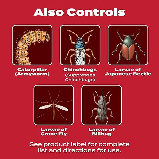 Scotts GrubEx1 Season Long Grub Killer, Protects Lawns Up to 4 Months, 10,000 sq. ft., 28.7 lbs.