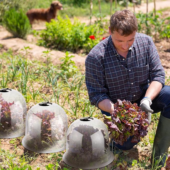 20 Pack Garden Cloche Plant Dome 10.2 D x 8.3 H Plant Cover Plastic Humidity Dome Reusable Plant Protector Mini Greenhouse Dome Plastic Plant Bell Cover with Ground Securing Pegs for Outdoors Plants