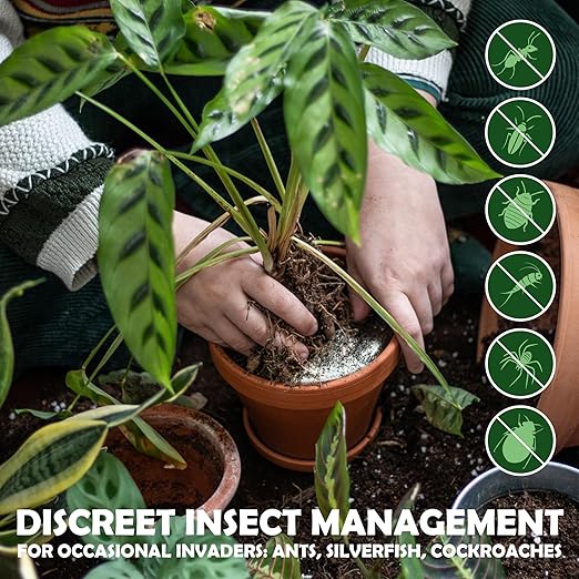 Food Grade Diatomaceous Earth 1 lb with Peppermint - Indoor/Outdoor Family-Friendly