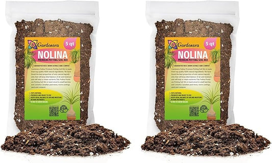 Nolina Plant Potting Soil - All-Natural Blend for Thriving Nolina Plants - Boosts Root Health and Distinctive Form - 10 Quart
