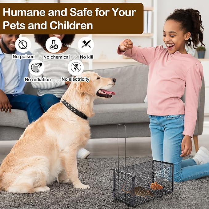 Qualirey 6 Packs Humane Rat Trap Chipmunk Rodent Mouse Squirrel Traps Foldable Live Animal Mouse Voles Hamsters Rat Live Cage for Indoors Outdoors Easy to Catch and Release