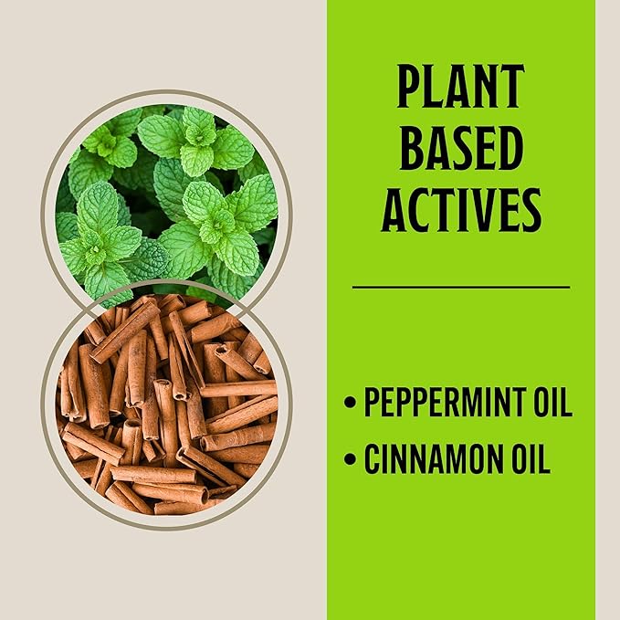 Grandpa Gus's Rodent Repellent Spray, Peppermint & Cinnamon Oil, Prevents Mouse/Rats from Nesting & Chewing on Wires, 16 fl oz (Pack of 1)