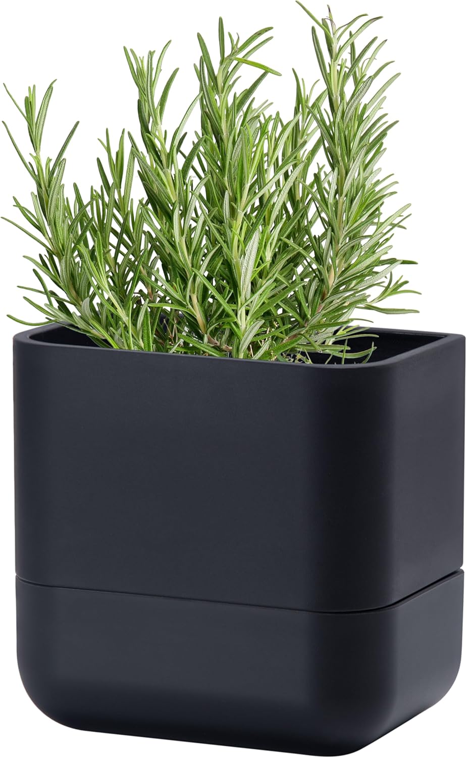 Phoenix Vine 6.5-Inch Wall Mounted Self-Watering Planter Pot for Indoor Houseplants and Herbs | Modern Hanging Planter for Window Sills, Bathroom Walls, Home & Office Décor, Black, Set of 1, 01-WP-B-1
