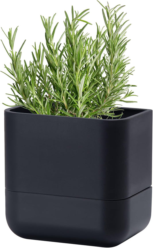 Phoenix Vine 6.5-Inch Wall Mounted Self-Watering Planter Pot for Indoor Houseplants and Herbs | Modern Hanging Planter for Window Sills, Bathroom Walls, Home & Office Décor, Black, Set of 1, 01-WP-B-1
