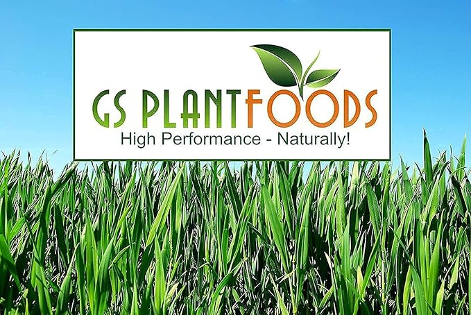 GS Plant Foods Organic Liquid Humic Acid (55 Gallon) - Fertilizer