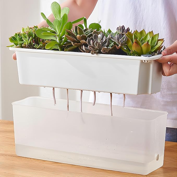 FAMZ Self Watering Pots - 3 Pack Transparent Rectangular Planting Pots for Indoor Plants - Suitable for Growing African Violets, Fruits, Vegetables, Flowers