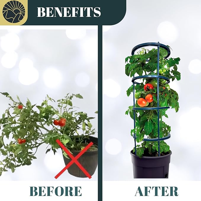 Small Tomato Cage for Pots Mini Tomato Cage Trellis 9'' Each 36'' in Total with Gloves