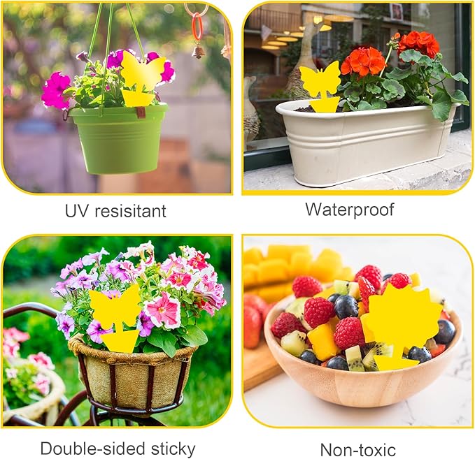 Fruit Fly Traps, 60 Pack Yellow Sticky Traps, Fungus Gnat Traps, Plant Fly Stickers for Indoor and Outdoor Use Protect The Plant