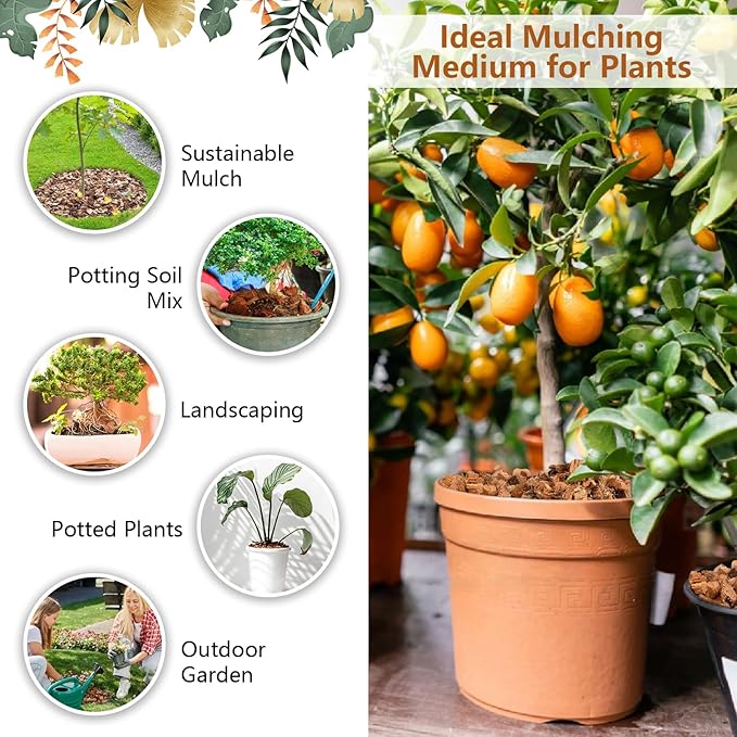 Legigo 10 Pack Coco Husk Chips- 11 LB 100% Organic Coconut Coir Chips Brick Potting Soil Mix with Low EC & PH Balance, Compressed Coconut Substrate Coco Chips Mulch Medium for Garden, Flowers, Plants