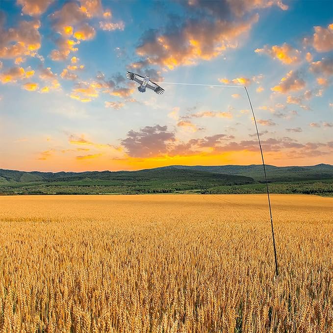 eyijklzo Bird Scarer Flying Kite Crops Farm Flying Bird Hawk Flying Kite