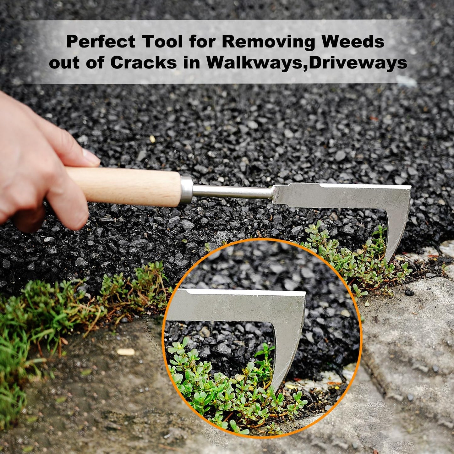 Weed Puller Tool Hand Weeder for Lawn Garden Cracks Stainless Steel Weed Remover with Ergonomic Beechwood Handle Manual Weeder