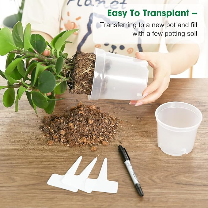 30 Pcs 3.5 Inch Clear Nursery Pots for Plants, Transparent Plastic Plant Pots with Drain Holes, Seed Starter Pots with 20 Plant Labels for Flowers Vegetable Seedlings