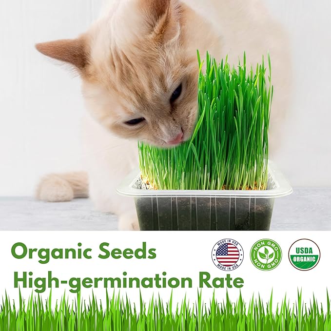 Cat Grass Kit for Indoor Cat, Organic Grass Growing Kit with Seeds, Soil and Planting Tools, Quick Germination, Perfect for Beginners, 3-Pack Plastic Pots