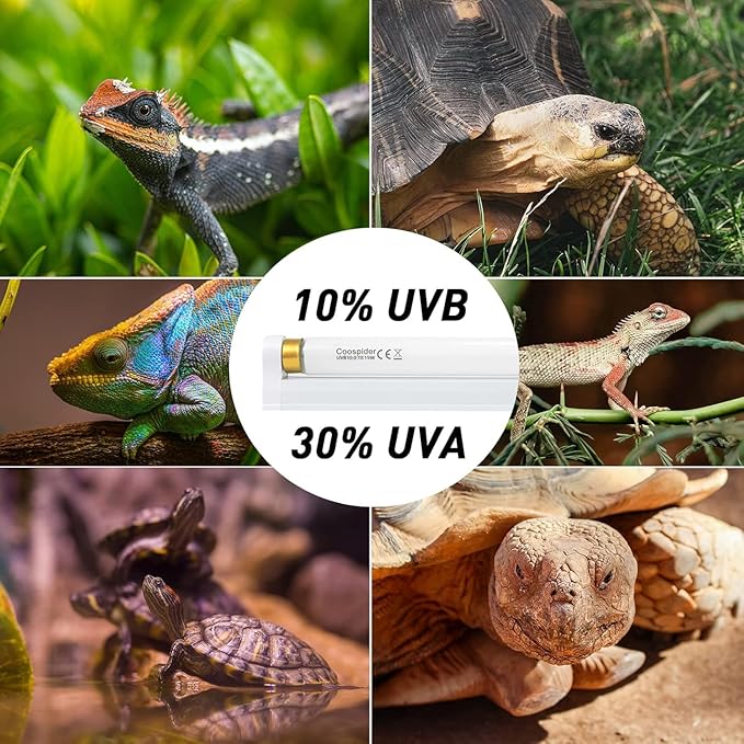 Hypool T8 Strip UVB UVA Reptile Lighting Fixture with 18-Inch 15 Watt UVB 10.0 Fluorescent Bulb Combo Kit 10-Percent UVB Desert Pet Habitat Light for Reptiles Amphibian-1 Pack