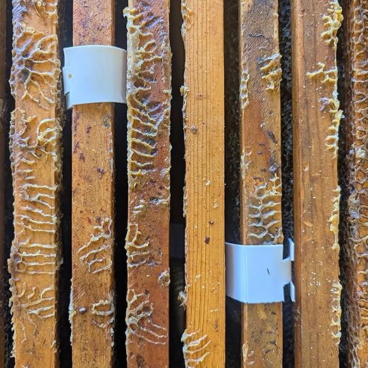 Apivar® 2.0 Varroa Mite Treatment for Honey Bees, Fast-Acting Amitraz Strips with Easy Hanging System, Fits Langstroth, Dadant & More, No Withholding Period (12 Packs)