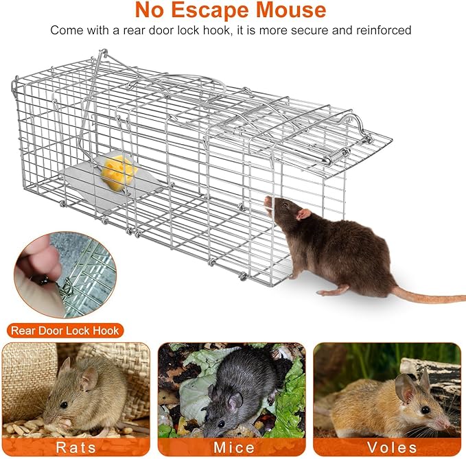 Humane Rat Trap, Foldable Metal Mouse Cage Traps and Other Small Live Animals Cage, Easy to Catch and Release, Work for Indoor Outdoor