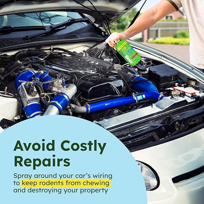 BugMD Peppermint Oil Spray for Rodents (2 Pack- 16oz) Mouse Repellent & Rodent Repellent Spray, Natural Mice Repellent with Cinnamon, Clove, and Rosemary Oils - Safe Indoor & Outdoor Use