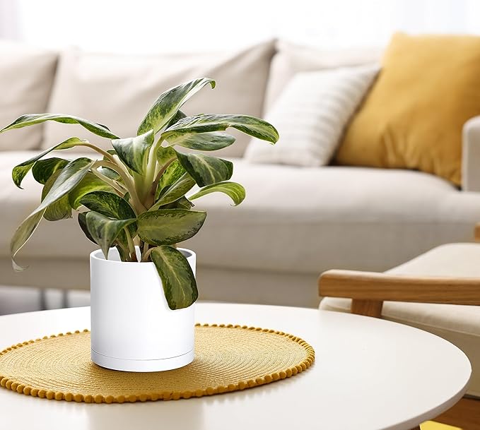 D'vine Dev 4 Pack 6 Inch Modern Plastic Plant Pots, Small Garden Planters for Plant with Drainage Holes and Saucers, White Color, 74-Z-J-2