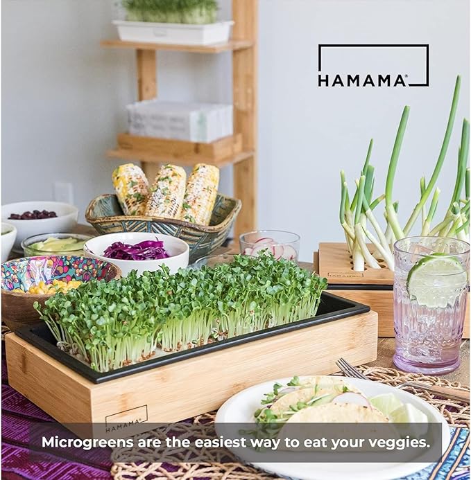 HAMAMA Microgreens Growing Kit Broccoli & Salad - Indoor Sprouts Mat - Seed Quilts Easy Setup Pack of 2 - Plastic Tray and Bamboo Frame