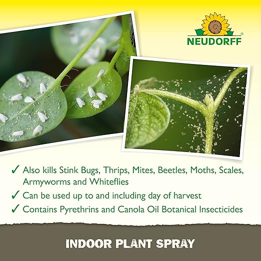 Indoor Plant Spray for House Plants & Greenhouse, Kills Spider Mites, and Scale and 100+ Listed Insects on Contact for Organic Gardening, Contact Insecticide, Ovicide (32 oz)