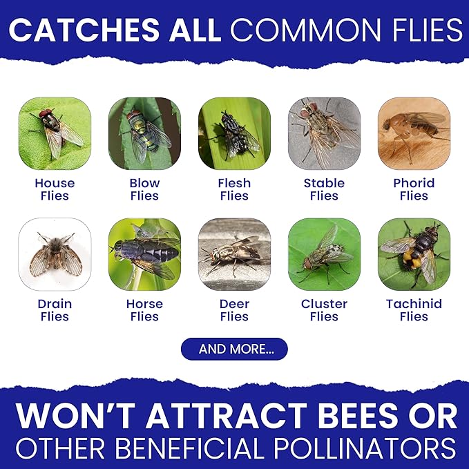 Fly Bait Fly Trap Refill Packets 6x1oz. Non Toxic Dissolvable Granules Work with All Reusable Flies Traps Outdoors Attractant. Flies Trap Bait Magnet Ranch Flytrap Outdoors. Cebo para Moscas