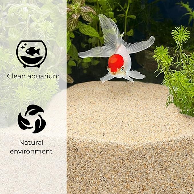 Fine Silica Sand - 10LB - Sand for Plants - Horticultural Sand - Potting Sand Bonsai Cactus & Garden Sand Grit - Terrarium and Plant Sand Soil - Gardening Landscape Sharp Rocks and Grit Fireproof