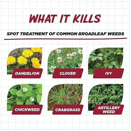 Earth's Ally Weed and Grass Killer 1 gal | Safe, Pet-Friendly Natural Weed Control Spray for Driveways & Sidewalks, Ready-to-Use - Bee Safe, No Glyphosate Weed Killer [OMRI - Amazon]