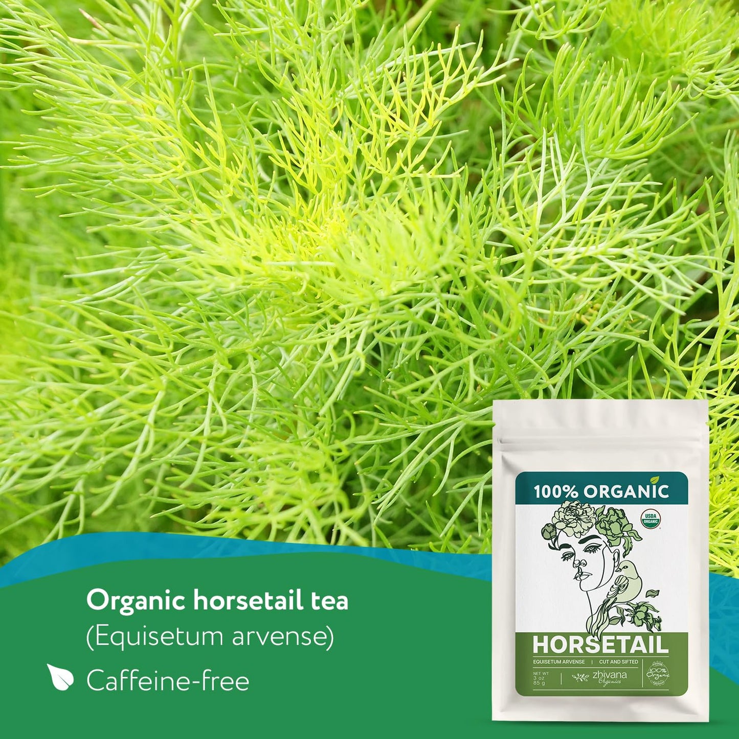 Super Value Pack 5 LB - Organic Horsetail (Equisetum arvense) – Loose Dried Herb – Edible Grade for Tea, Infusions & Herbal Blends