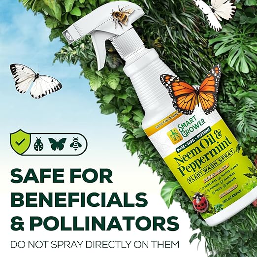 Neem Oil Spray for Plants with Peppermint Oil, Natural Plant Wash Made for Indoor and Outdoor Plants Smart Grower 16oz Easy Ready to Use Spray