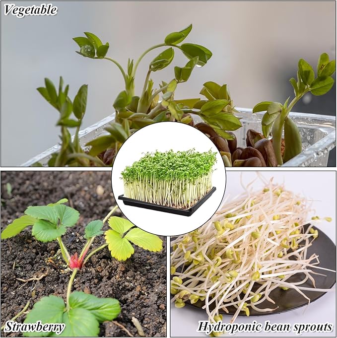 12 Set Microgreens Growing Mat with Tray 10 x 10 inch Square Growing Trays for Micro Greens Seeds Sprout, Microgreen Growing Kit Herb Plant Starting Kit with Jute Pads for Indoor