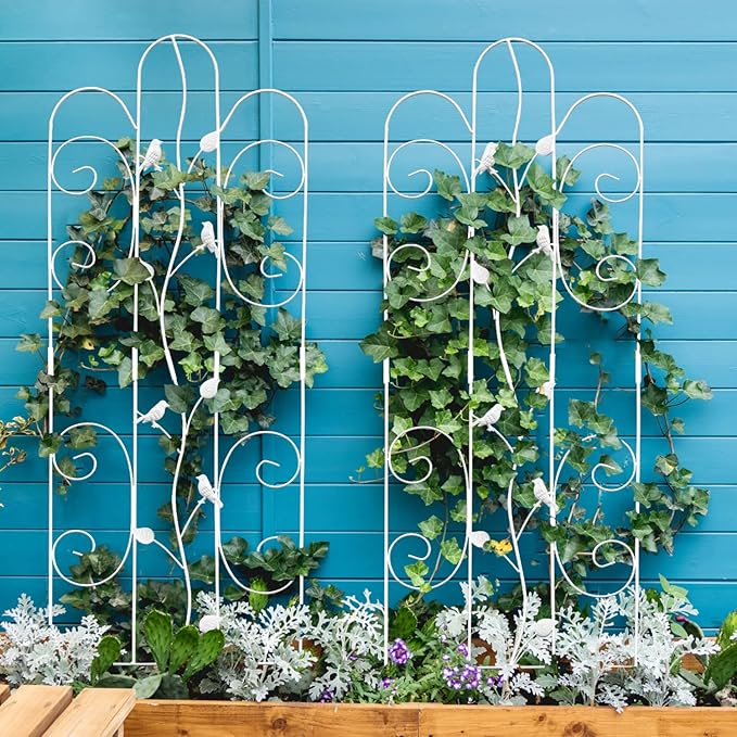 2 Pack Metal Garden Trellis for Climbing Plants Outdoor 61''x 18.5" Rose Flower Support Rustproof Sturdy Leaves Garden Trellis for Vegetables Trellis for Potted Plants - White