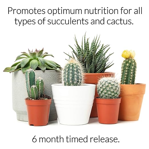 Leaves and Soul Succulent Fertilizer Pellets |13-11-11 Slow Release Pellets for All Cactus and Succulents | Multi-Purpose Blend & Gardening Supplies, No Fillers | 5.2 oz Resealable Packaging