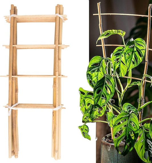Avalution 10 Pack Natural Bamboo Trellis for Climbing Plants 16" Outdoor Garden Ladder Trellis, Fan -Shaped Plant Support Trellis for Potted Plant