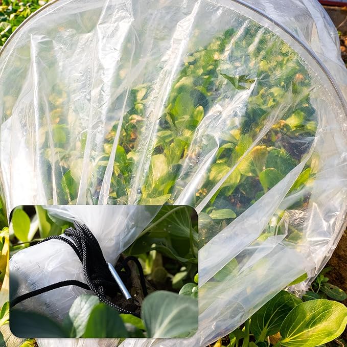 Pack 2 of Mini Greenhouse Tunnel Greenhouses,Green Houses for Outside Greenhouse Cover Garden Hoops Raised Beds,Outdoor Green House Kits to Build for Outside Winter (2)