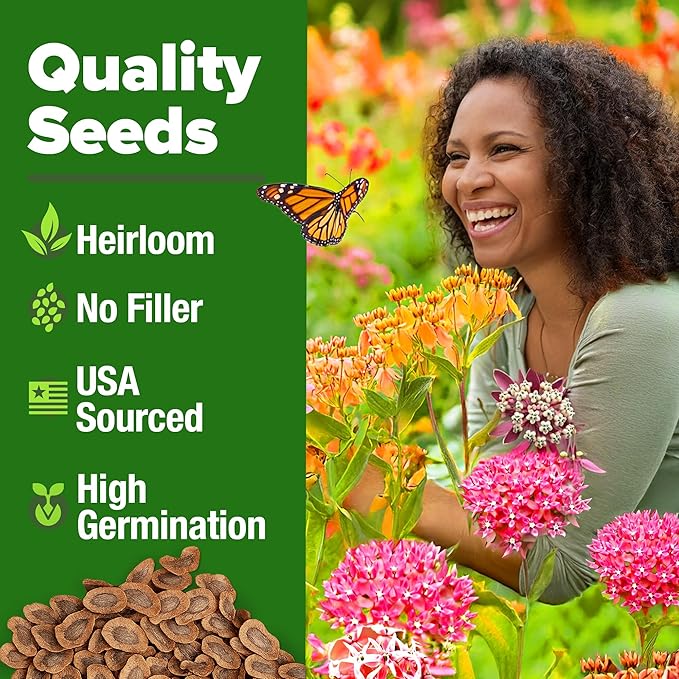 HOME GROWN Milkweed Flower Seeds - 500+ Heirloom Perennial Wildflower Seeds (5 Individual Varieties) Supports Monarch Habitat, Grows in Zones 3–10 (Asclepias syriaca)