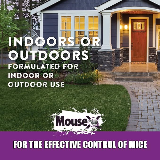 MouseX Throw Packs- for All Species of Rats Mice Safe Around Pets