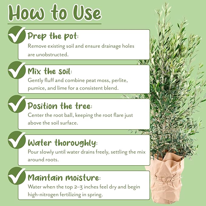 Olive Tree Potting Soil Mix (8 Quarts), for Planting, Repotting, and Growing Olive Bushes/Plants