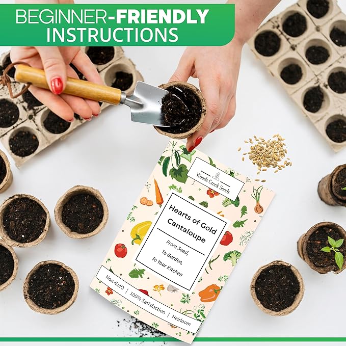 Hearts of Gold Cantaloupe Melon Seeds for Planting - Over 90 Heirloom Non-GMO Cantaloupe Seeds for Planting - Beginner Friendly Fruit Seeds for Home Gardening