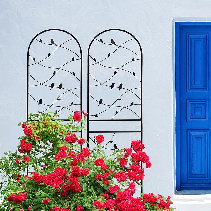 4 Pack Metal Garden Trellis 71" Tall Outdoor Climbing Plant Support for Roses, Flowers, Rustproof Durable Black Galvanized Tube, Lawn Garden Fence Decor Screen (4, Black birds-71 H)