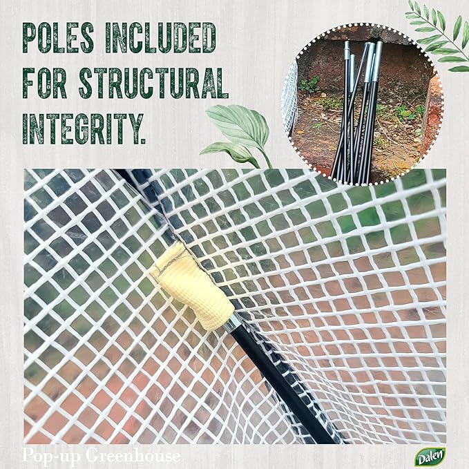 Dalen Pop-Up Mini Greenhouse - Easy Setup and Storage – 39”W x 39" L x 36" H - Special Venting Window to Ensure Breeze