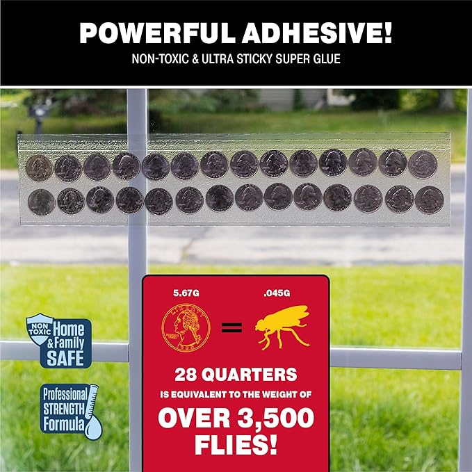 Catchmaster Window Fly Traps 12-Pack XL, Fruit Fly Traps for Indoors, Disposable Bulk Bug Catcher, Waterproof Insect Glue Trap, Adhesive Strips, Pet Safe Pest Control for Home, Kitchen, & Garage