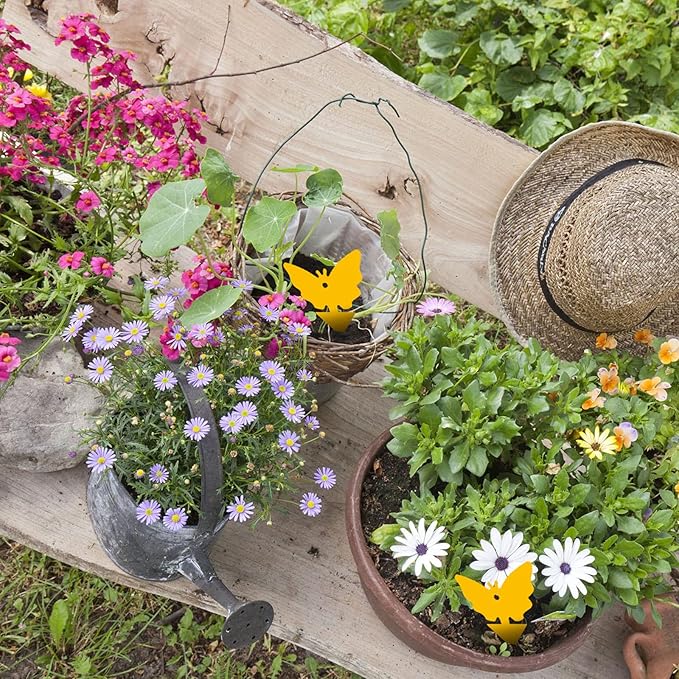 USKICH Sticky Trap Fruit Fly and Gnat Trap Sticky Bug Traps Fungus Traps for Indoor/Outdoor ，Insect Catcher for White Flies,Mosquitoes,Fungus Gnats,Lying Insects (36 Pcs Yellow)