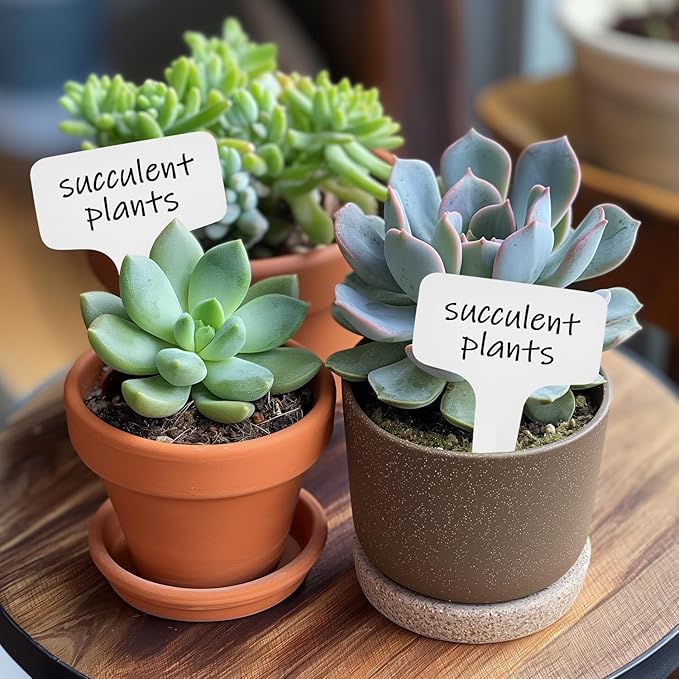 Plant Labels 1000 Pcs Yuanling T-Type Plastic Garden Tags Waterproof Plant Sign Stakes Nursery Garden Makers for Seedlings Flower Vegetables Herb Potted Belt Permanet Marker Pen (White)