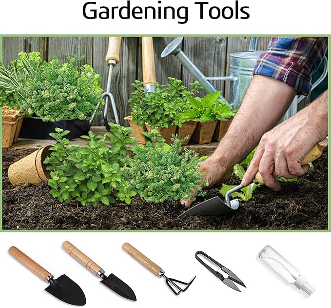 Indoor Herb Garden Starter Kit, 5 Seeds Growing into Basil, Parsley, Rosemary, Thyme, Mint, Including A Wooden Box, Soil Discs & Planters with A Gift Box, Ideal Christmas Gifts for Women