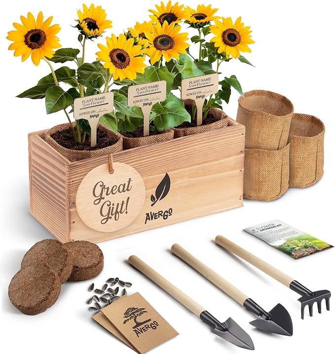 Sunflower Seeds Growing Kit – Complete Seed and Plant Indoor & Outdoor Kit with Sunflower Seeds for Planting, Planter, Soil, Tools, Instructions – Ideal for Planting Sun Flowers at Home