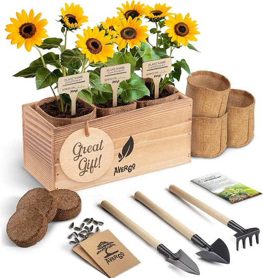 Sunflower Seeds Growing Kit – Complete Seed and Plant Indoor & Outdoor Kit with Sunflower Seeds for Planting, Planter, Soil, Tools, Instructions – Ideal for Planting Sun Flowers at Home