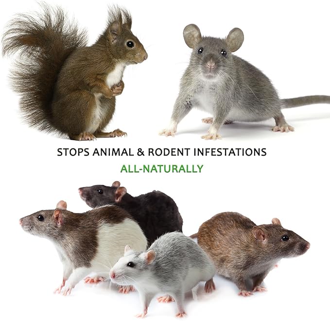 Mice/Mouse, Rat, Squirrel & Rodent Wire, Engine & Vehicle Protection Spray Prevents Chewing & Nesting for Cars, Trucks, RV’s, ATV’s. Great for Winter Protection. Ready to Use (128 Oz Gallon)